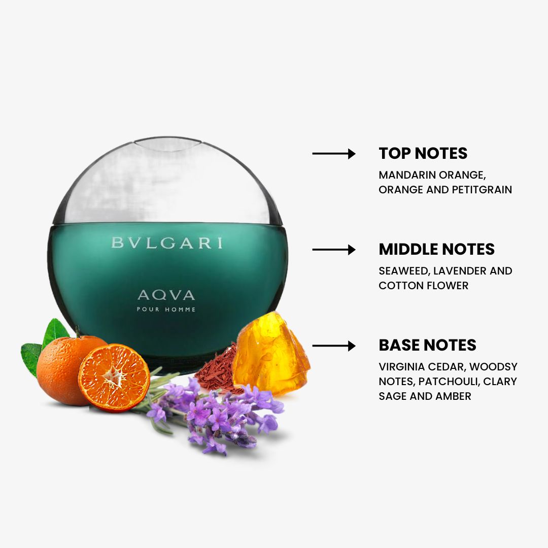 Aqva Pour Homme By Bvlgari Eau de Toilette | PerfumePlusOutlet.com