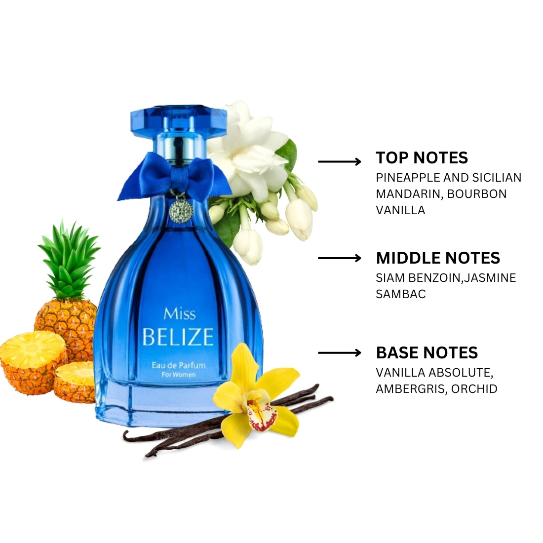 Miss Belize for Women By Belize Eau de Parfum 3.4 oz Perfume Plus Outlet