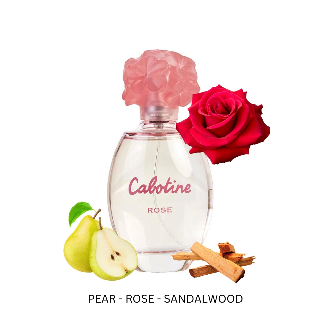 Cabotine Rose For Women By Gres Paris Eau de Toilette Spray 3.4