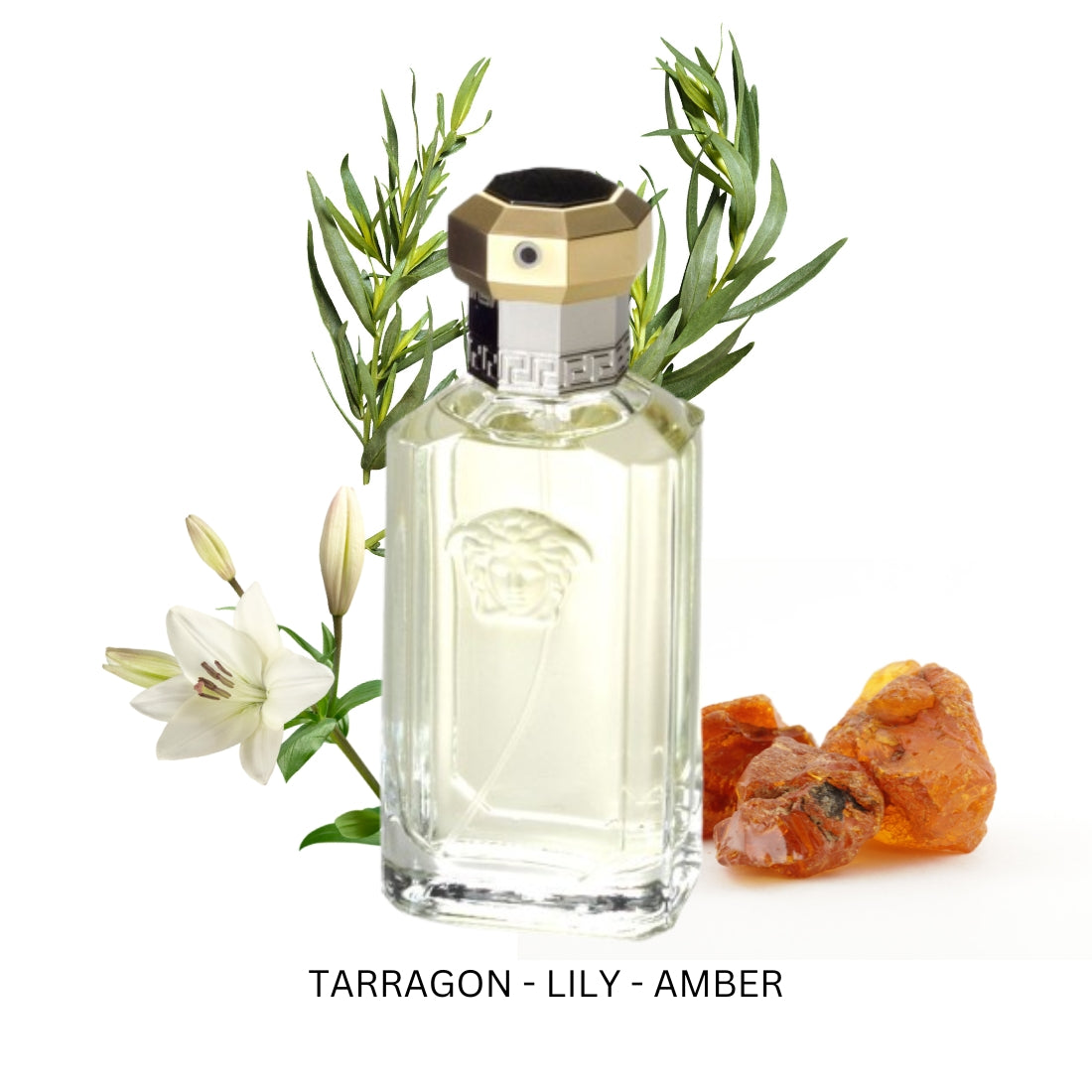 Dreamer For Men By Versace Eau De Toilette Spray oz