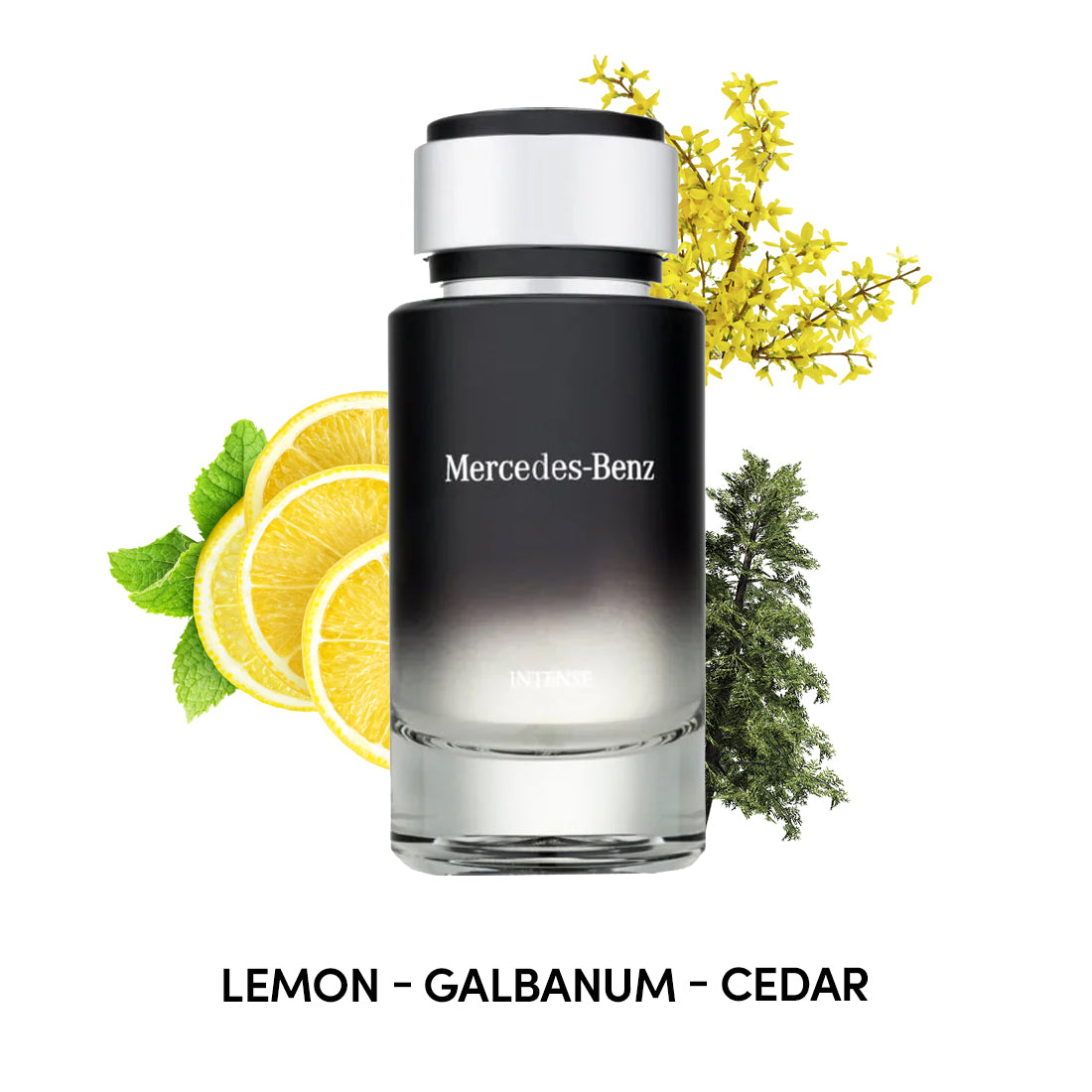 Mercedes Benz Intense For Men By Mercedes benz Eau de Toilette Spray oz