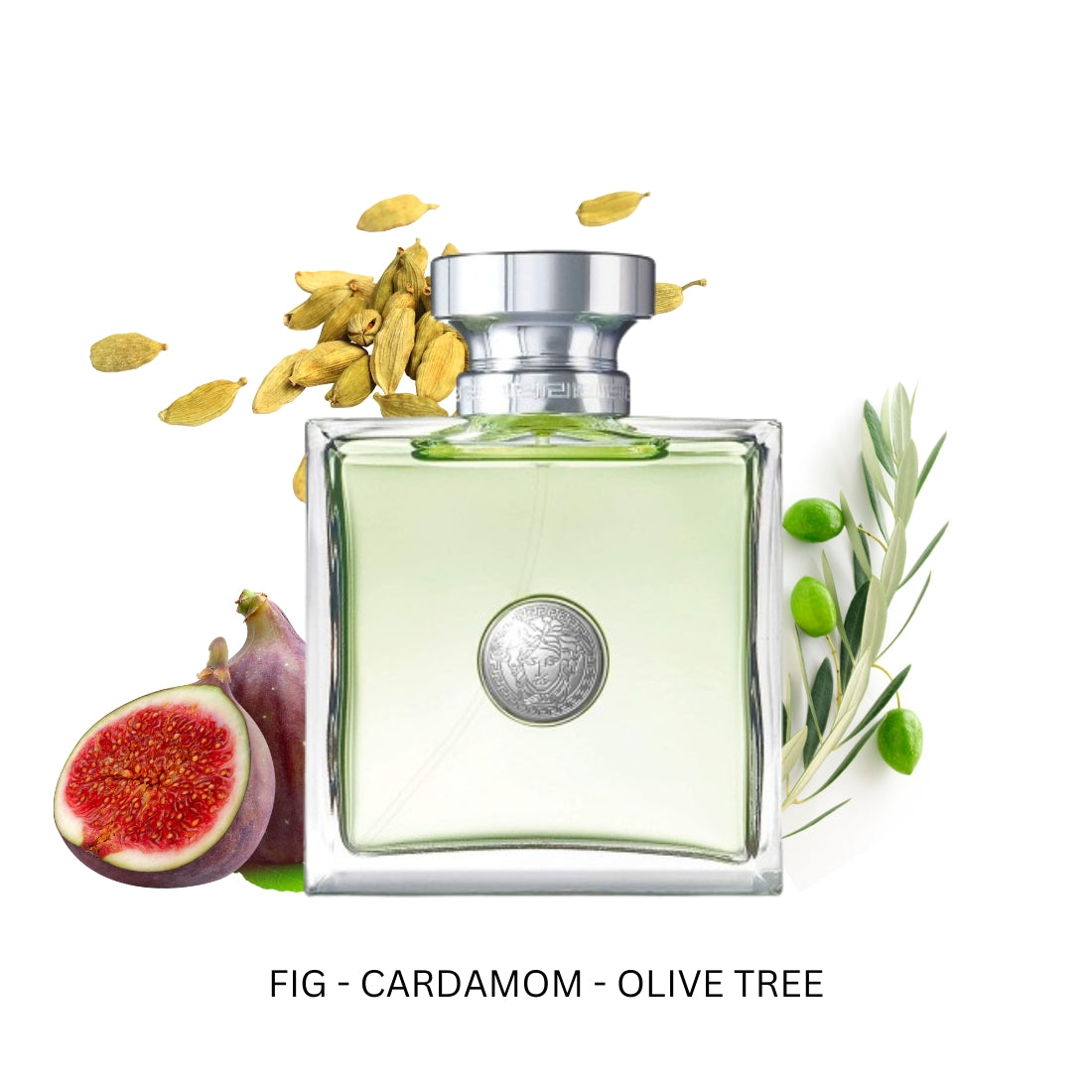 Versense For Women by Versace Eau de Toilette Spray 3.4 oz