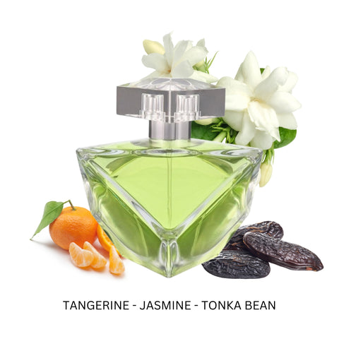 Believe For Women By Britney Spears Eau de Parfum Spray 3.3 oz