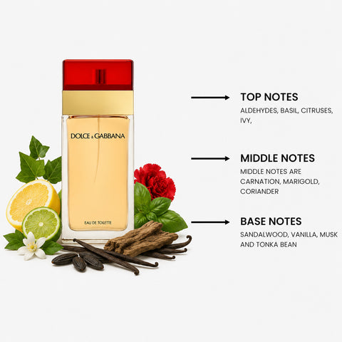 Dolce & Gabbana For Women By Dolce & Gabbana Eau De Toilette Spray 3.4 oz