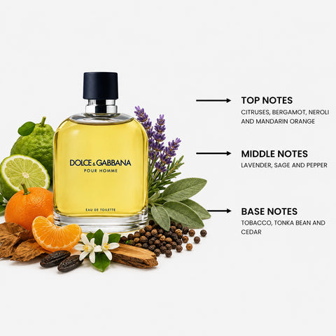 Dolce & Gabbana Pour Homme For Men By Dolce & Gabbana Eau De Toilette Spray