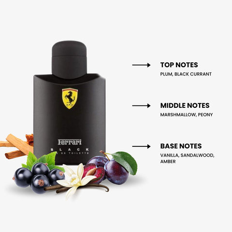 Ferrari Scuderia Black For Men By Ferrari Eau De Toilette 4.2 oz
