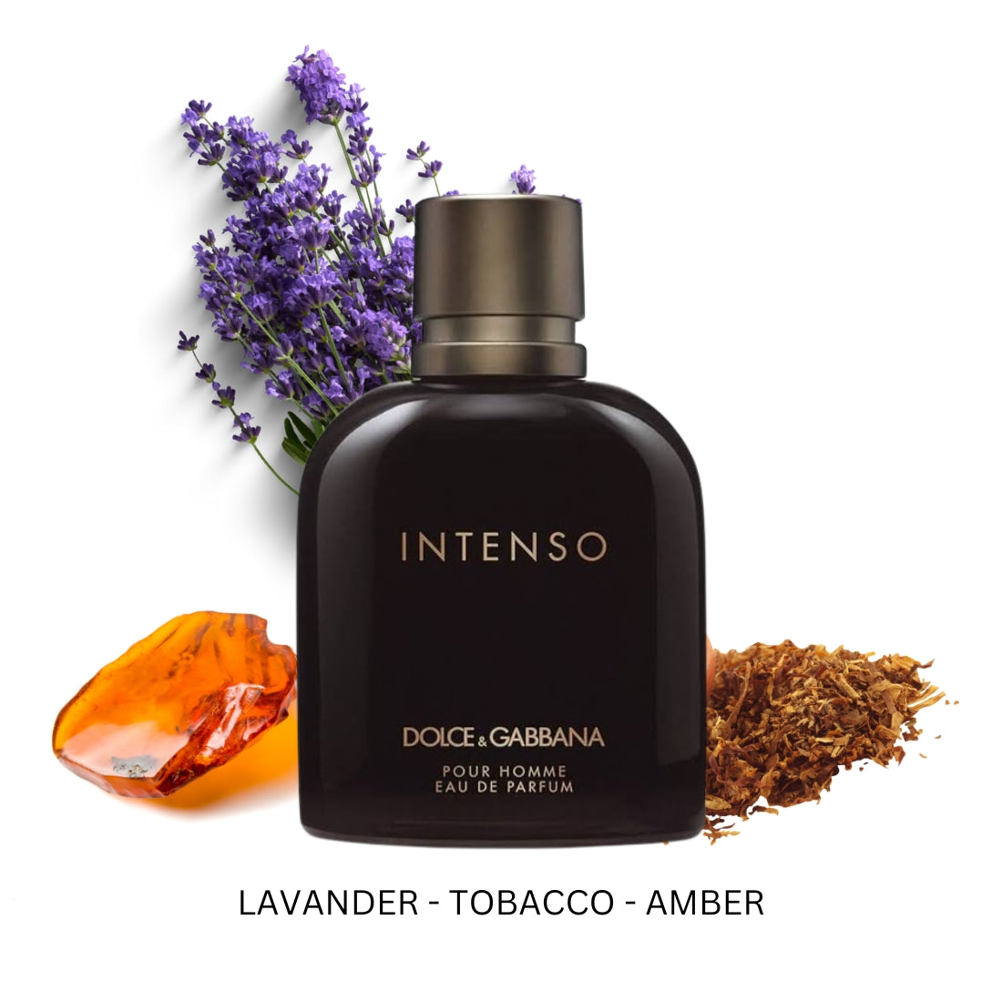 Dolce & Gabbana Intenso Pour Homme | PerfumePlusOutlet.com