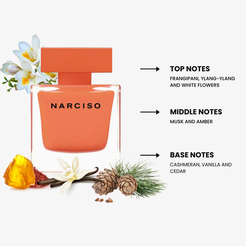 Narciso Ambree For Women By Narciso Rodriguez Eau de Parfum Spray 3.0 oz