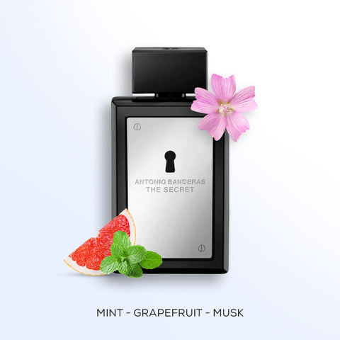 The Secret For Men By Antonio Banderas Eau De Toilette Spray