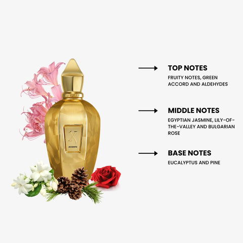 Xerjoff Accento Overdose by Xerjoff Eau De Parfum Spray 3.4 oz