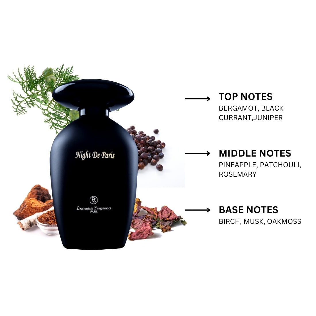 Night De Paris Black By Lorientale Fragrances Eau De Parfum Spray