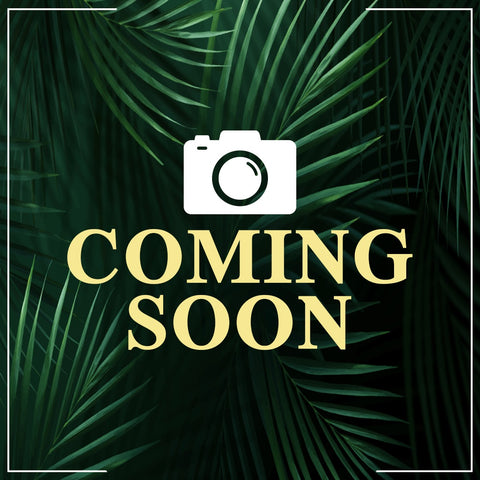 Omnia Coral Women by Bvlgari Eau de Toilette Spray