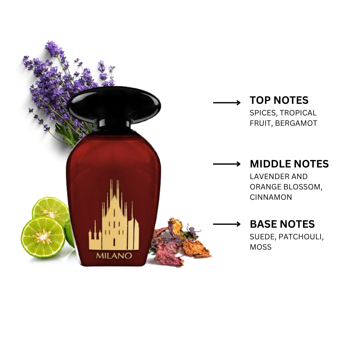 Night de Paris Milano By Lorientale Fragrances Eau de Parfum Spray