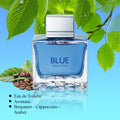 Blue Seduction For Men By Antonio Banderas EDT PerfumePlusOutlet