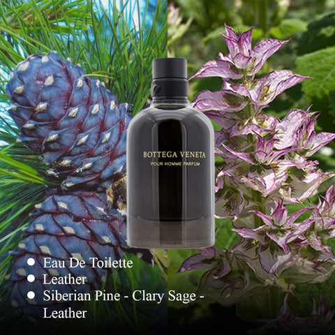 Bottega Veneta for Men By Bottega Veneta PerfumePlusOutlet