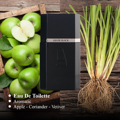 Silver Black For Men By Azzaro Eau de Toilette PerfumePlusOutlet