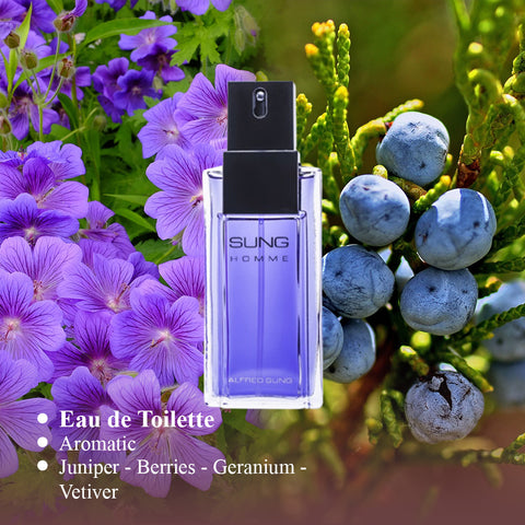 Sung Homme For Men By Alferd Sung EDT PerfumePlusOutlet